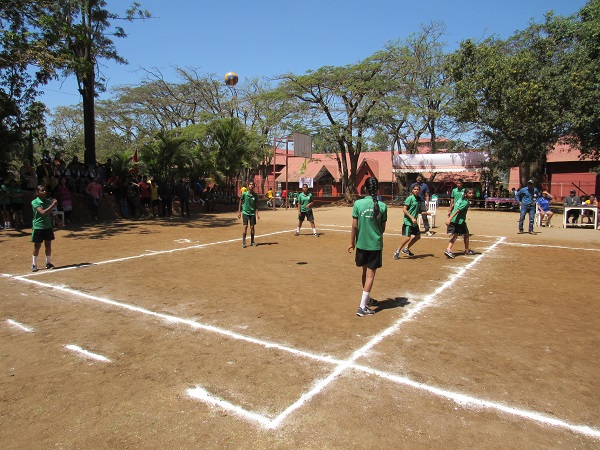 Volleyball for Girls and Boys