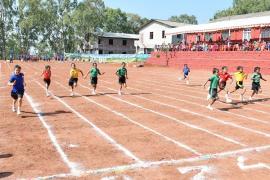 50m Sprint