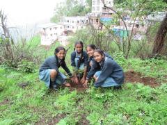 Environment Day 2016 width=