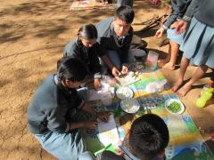 Scouts & Guides - Cook Out