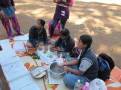Scouts & Guides - Cook Out