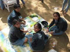 Scouts & Guides - Cook Out