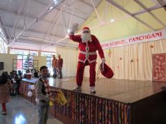 Christmas Celebrations