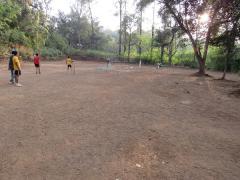 Cricket Practice