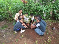 Save Trees - Plant Trees