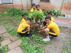 Save Trees - Plant Trees